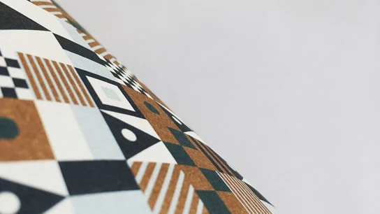 68B8DCAA-CC28-4A73-A0E5-63334690B836