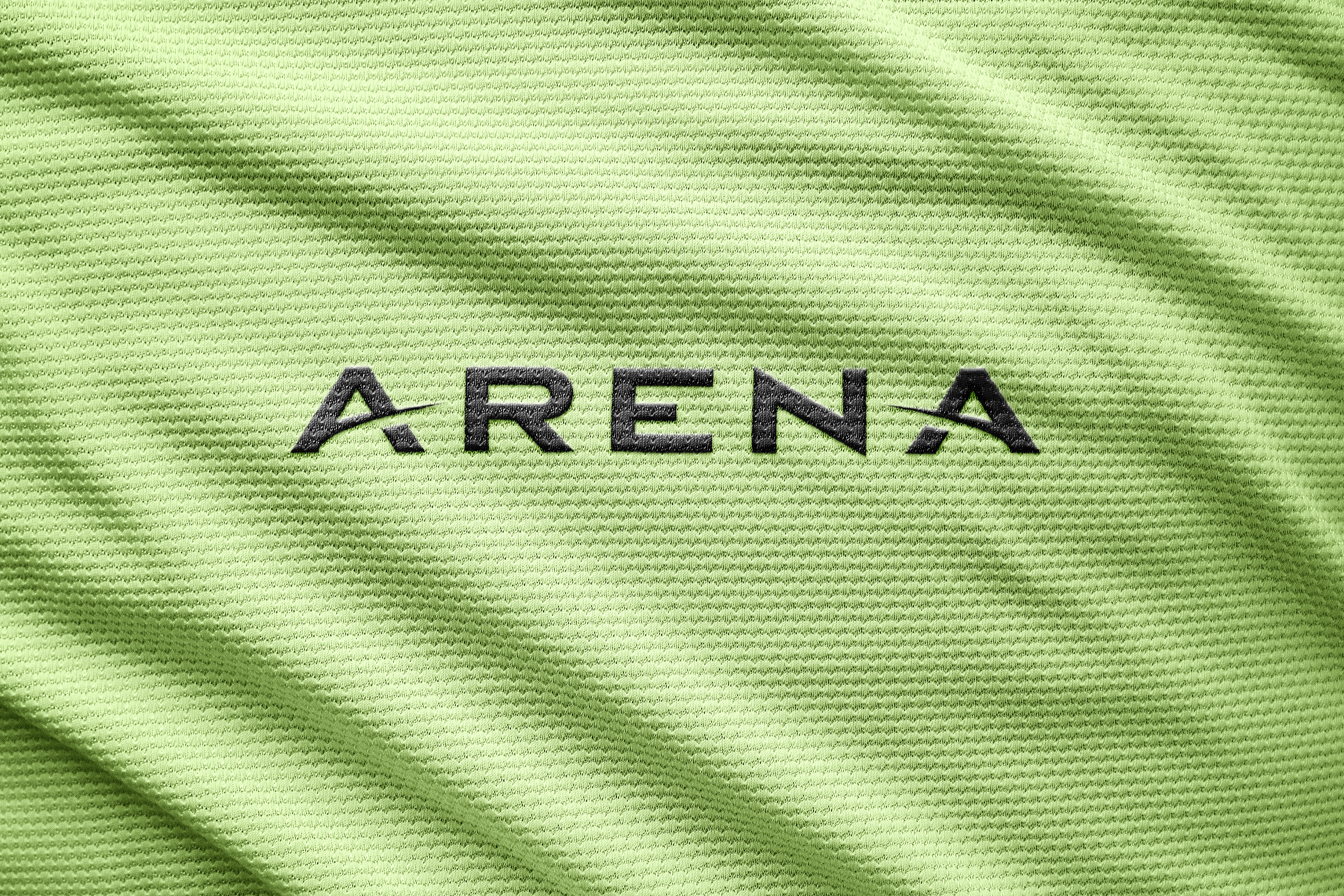 arena%20logo